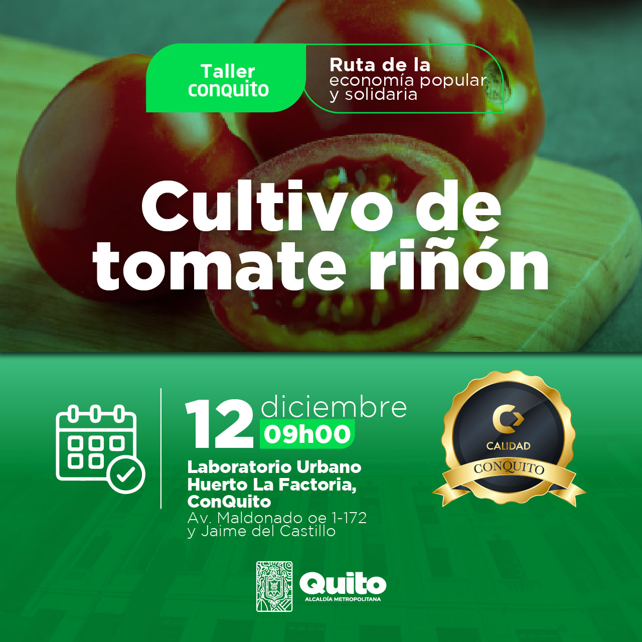 Manejo del cultivo de tomate riñón