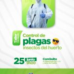 Control de plagas-insectos del huerto
