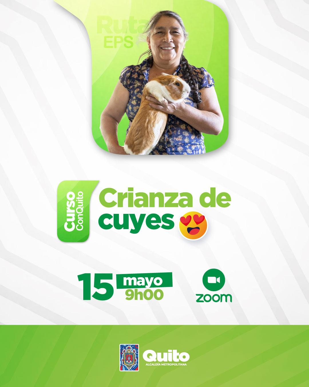 Crianza de cuyes