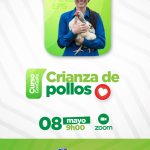 Crianza de pollos
