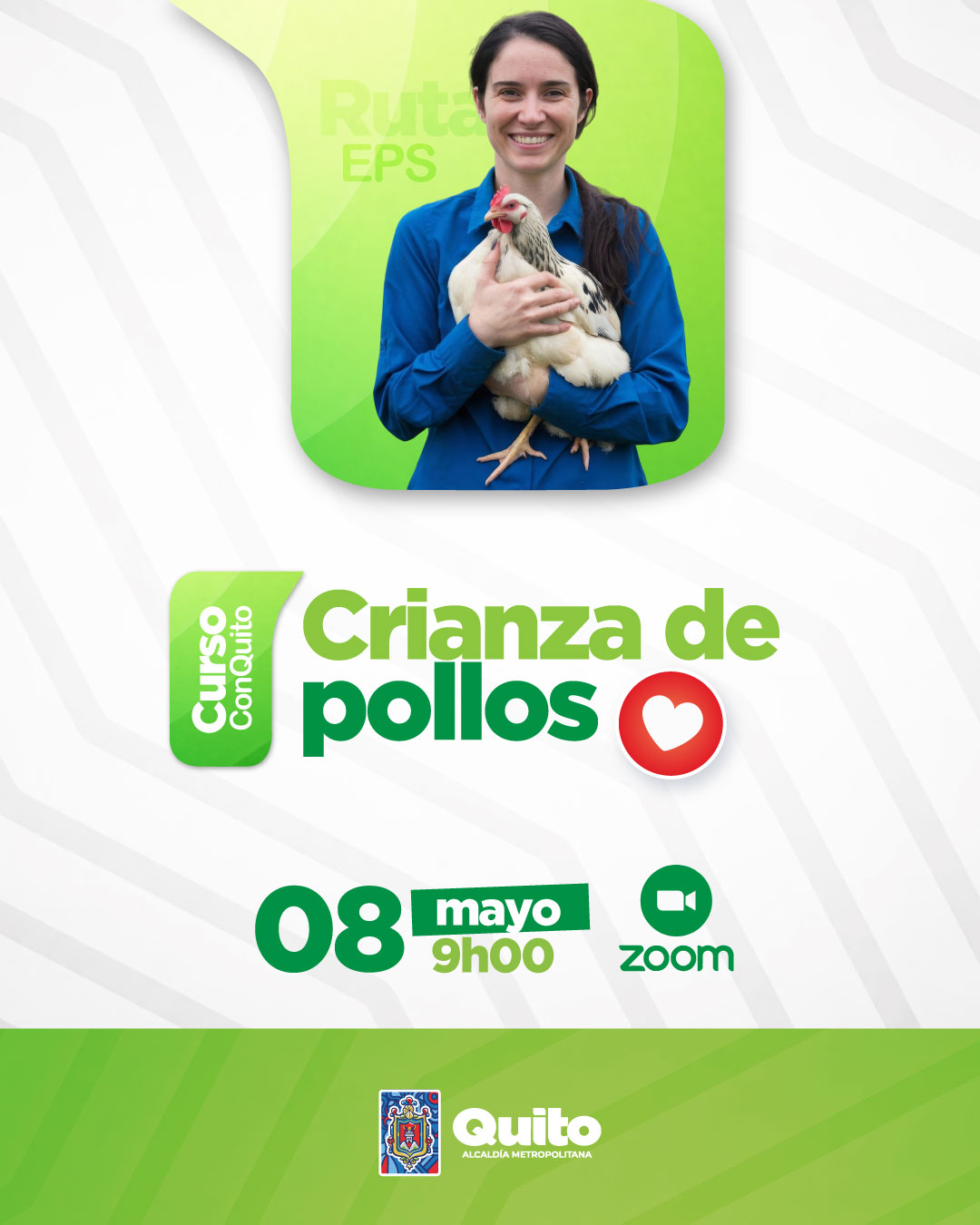 Crianza de pollos