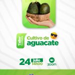 Manejo del cultivo de Aguacate