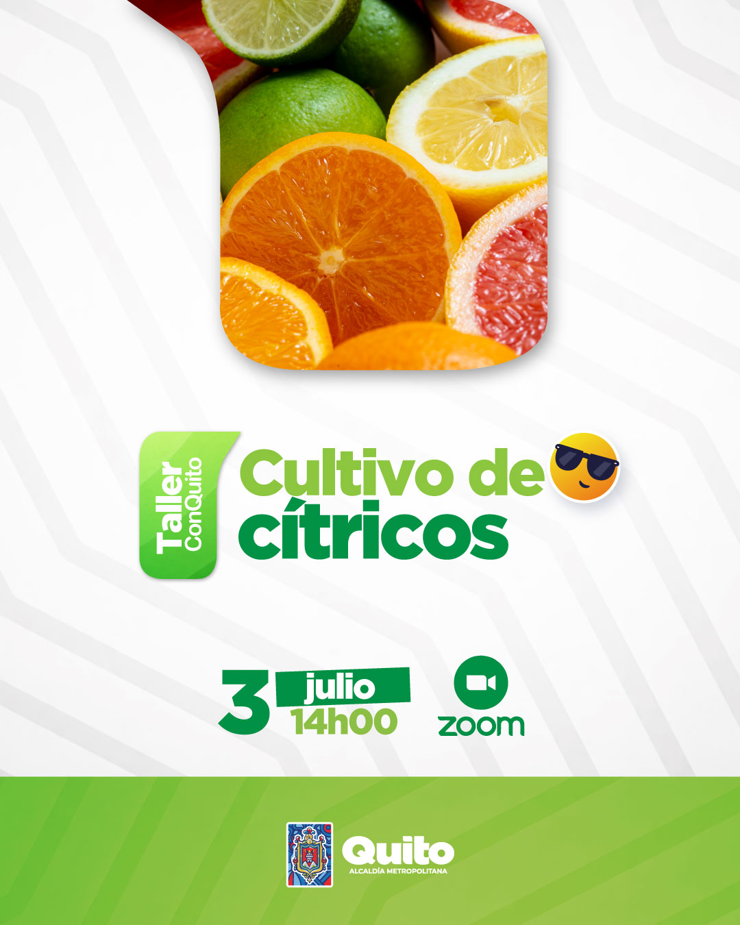 Manejo del cultivo de cítricos