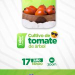 Manejo del cultivo de tomate de árbol