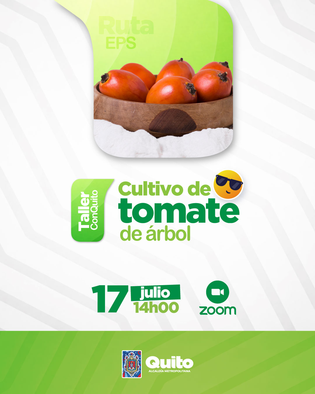 Manejo del cultivo de tomate de árbol
