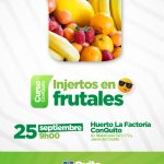 Injertos en frutales