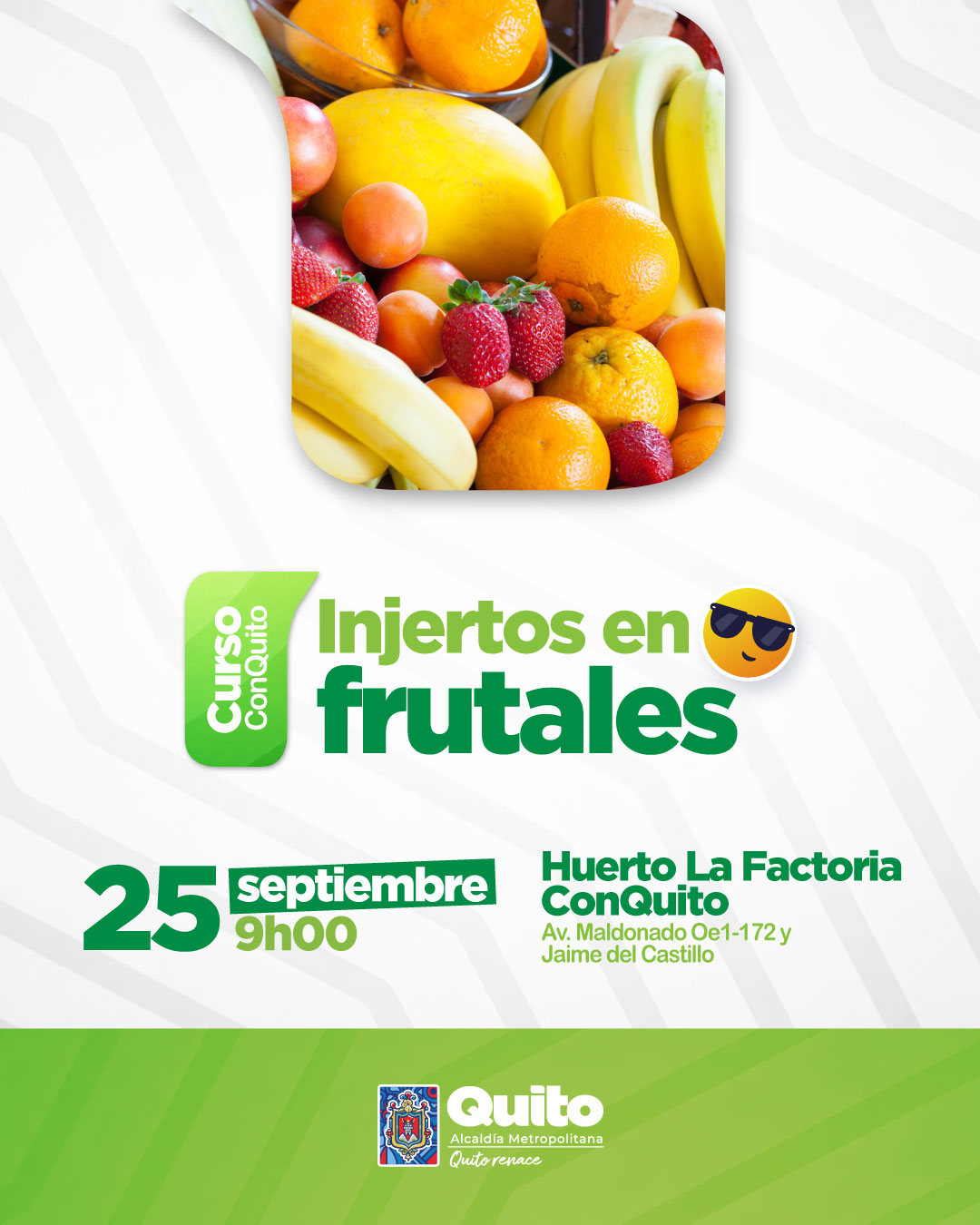Injertos en frutales