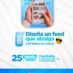 Diseña un feed que atraiga seguidores y fortalezca tu marca