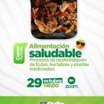 Procesos de deshidratación de frutas y hortalizas
