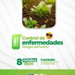 Control de enfermedades-hongos del huerto