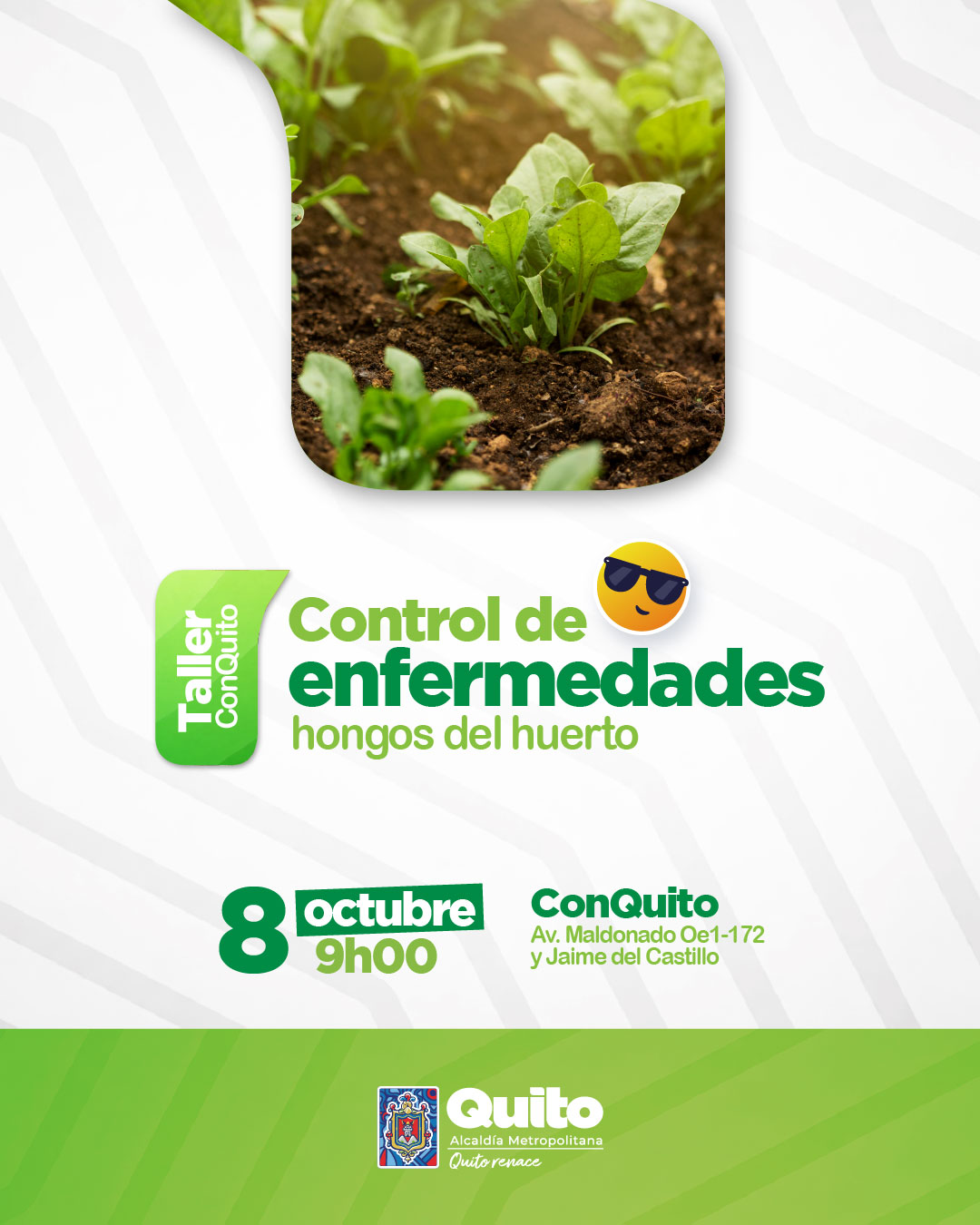 Control de enfermedades-hongos del huerto