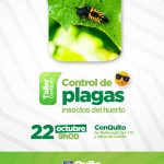 Control de plagas-insectos del huerto
