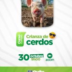 Crianza de cerdos