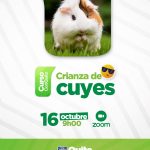 Crianza de cuyes